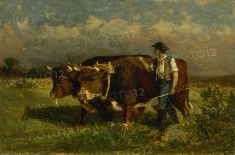 Untitled (man with two oxen), 1869.