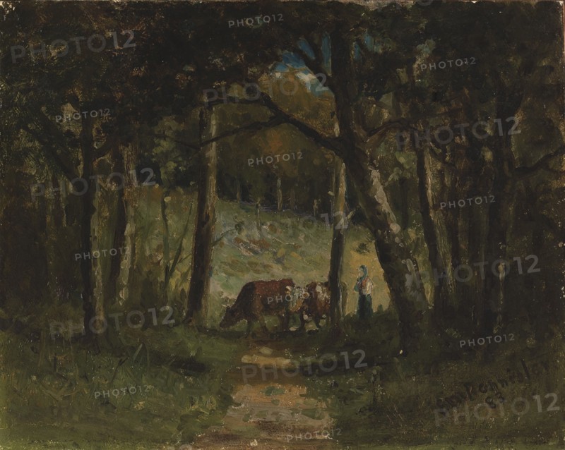 Untitled (cows on path in forest), 1883.