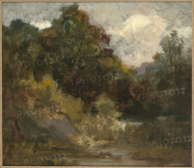 Landscape (trees), n.d.