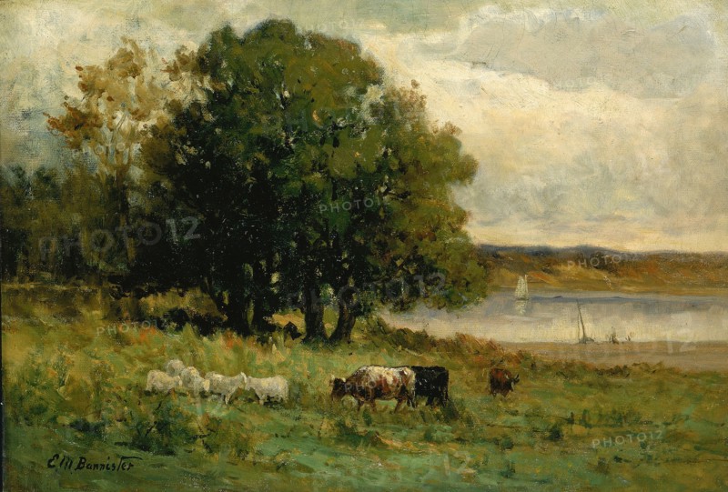 Untitled (cattle near river with sailboat in distance), n.d.