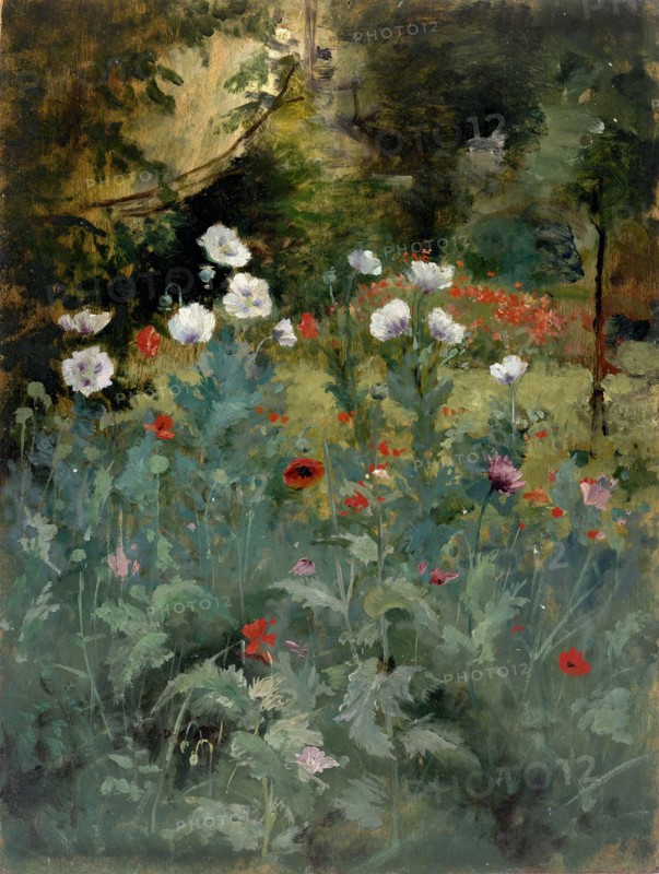 Poppies, late 19th-early 20th century.