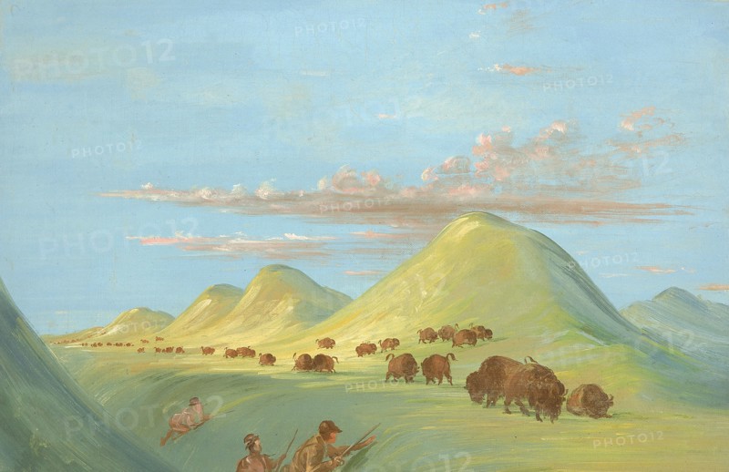 Batiste, Bogard, and I Approaching Buffalo on the Missouri, 1837-1839.