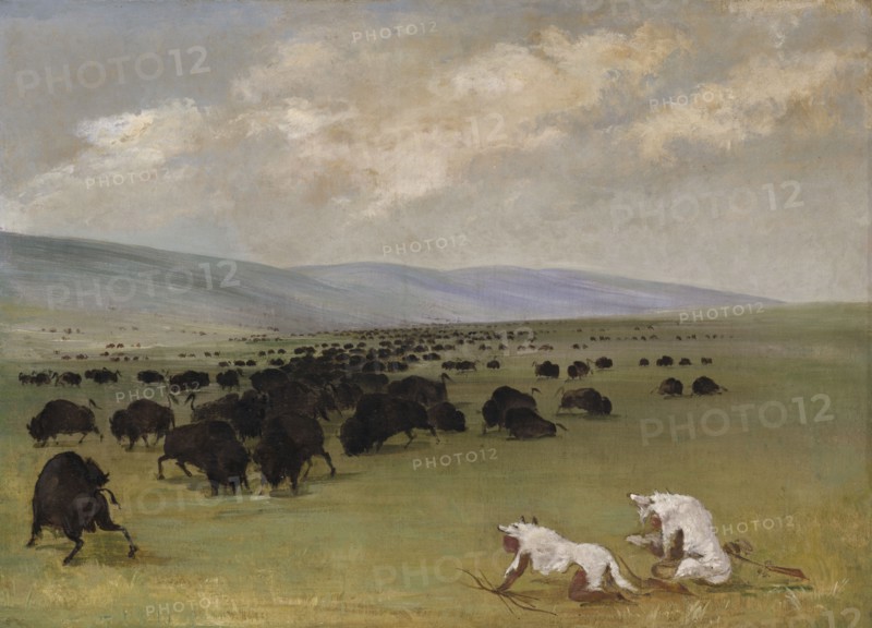 Catlin and His Indian Guide Approaching Buffalo under White Wolf Skins, 1846-1848.