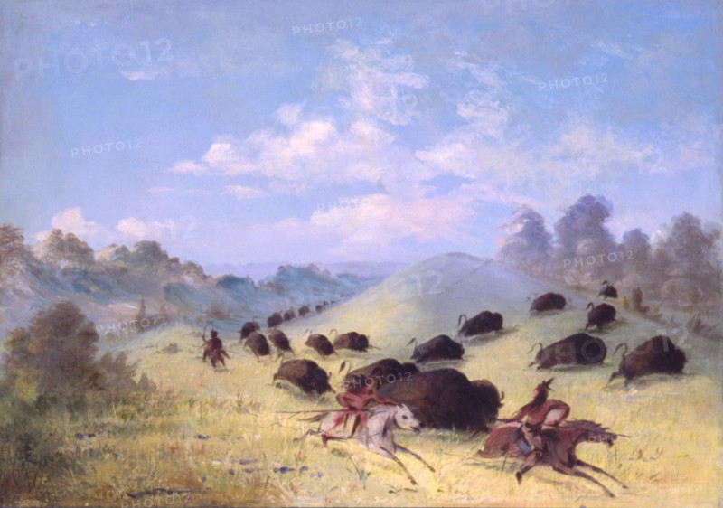 Comanche Indians Chasing Buffalo with Lances and Bows, 1846-1848.