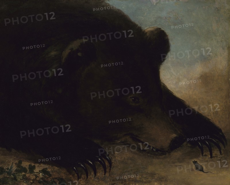 Portraits of a Grizzly Bear and Mouse, Life Size, 1846-1848.
