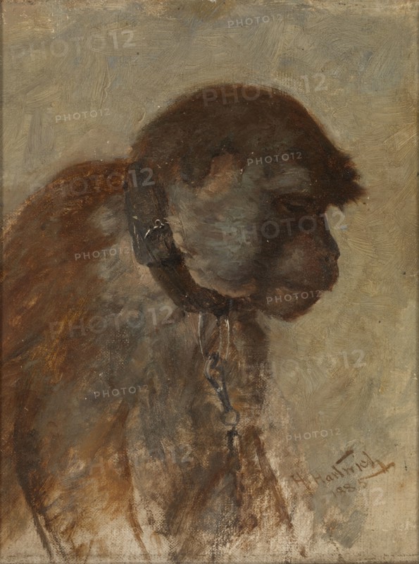 Meditation, 1885.
