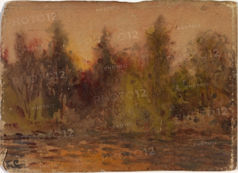 Untitled, ca. 1875-1880.