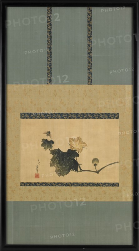 Pumpkin Vine and Horse Fly, ca. 1825-1833. Possibly by Katsushika Hokusai.