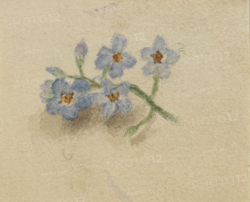 (Untitled), 1874.