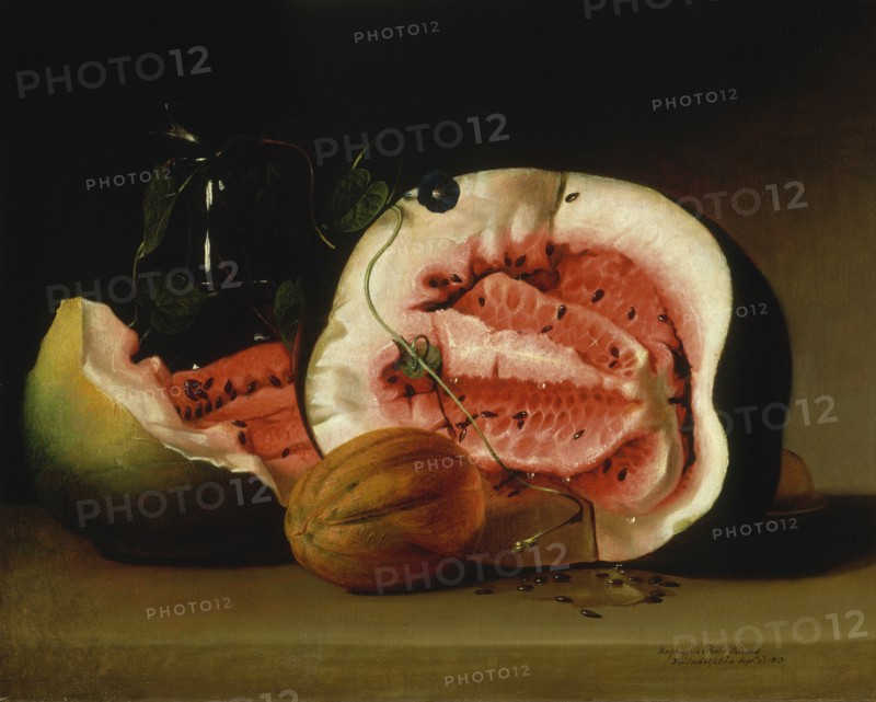 Melons and Morning Glories, 1813.