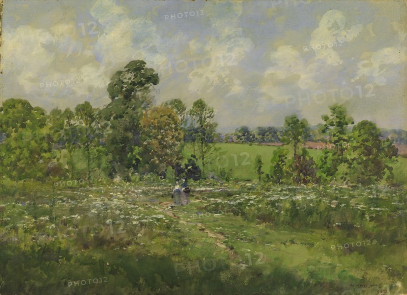 Flowery Meadow, 1910.