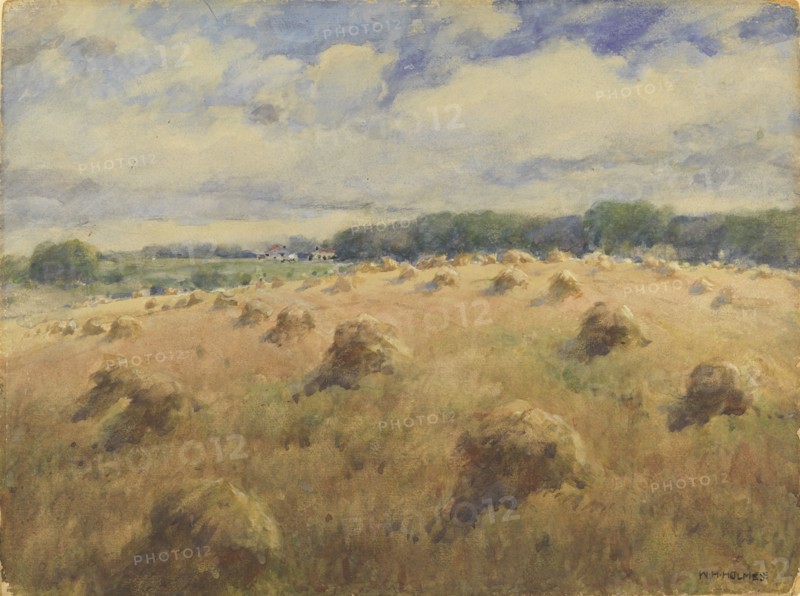 Maryland Wheat Fields, n.d.