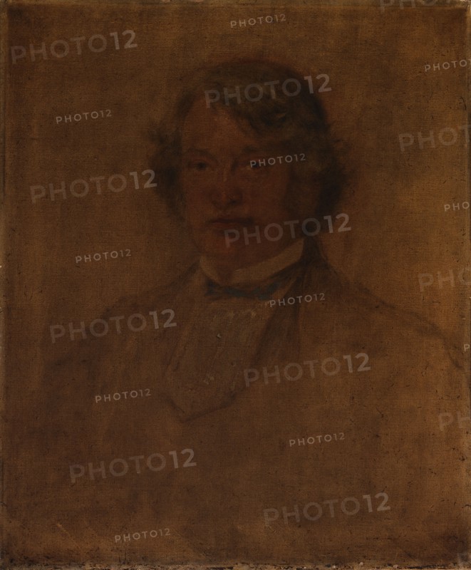 Charles Sumner, ca. 1874.