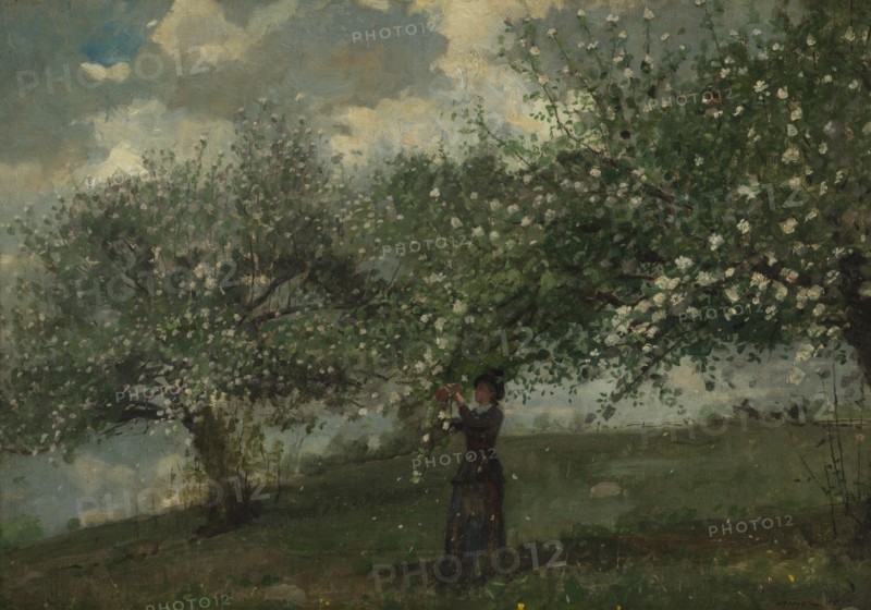 Girl Picking Apple Blossoms, 1879.