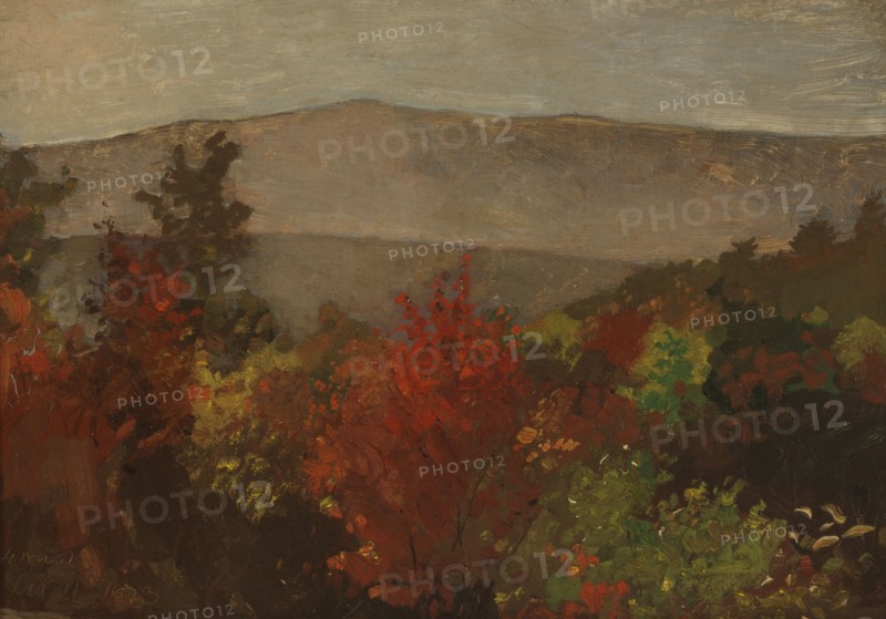 Autumn Treetops, October 11, 1873.