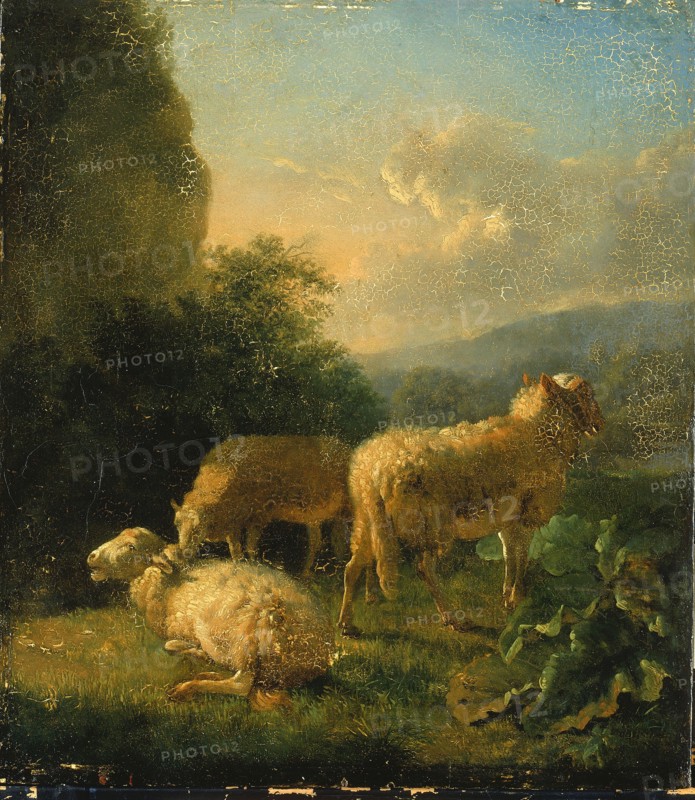Sheep, late 18th-early 19th century.