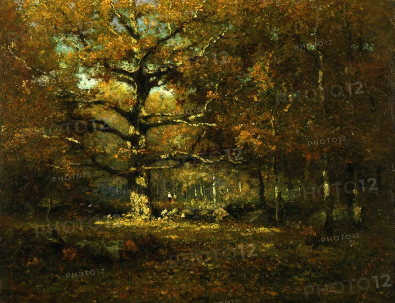 Connecticut Woods, 1899.