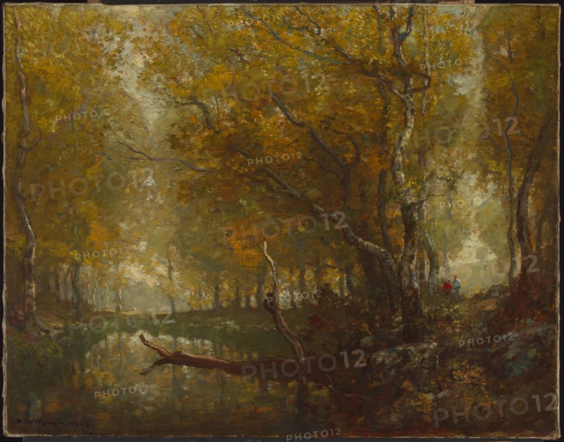 Bradbury's Mill Pond, no. 2, 1903.