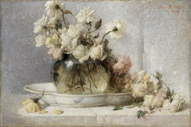 Roses, 1898.