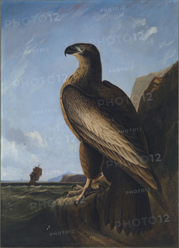 Washington Sea Eagle, ca. 1836-1839.