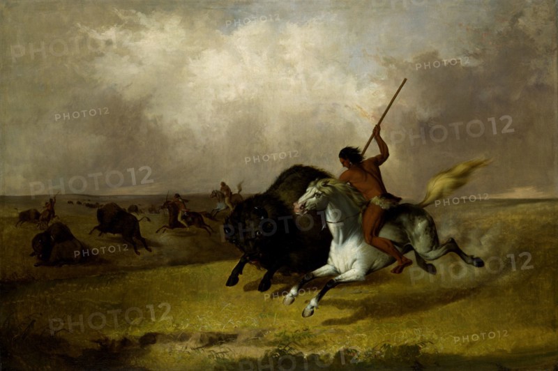 Buffalo Hunt on the Southwestern Prairies, 1845.