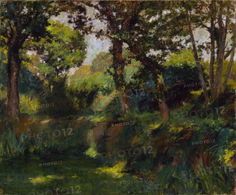 Wooded Landscape, late 19th-early 20th century.