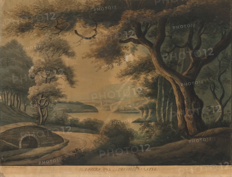 The Lovers Oak near Delville Castle, late 18th century?