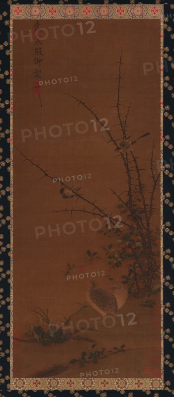 Quails, other birds, and brambles, (18th century?)
