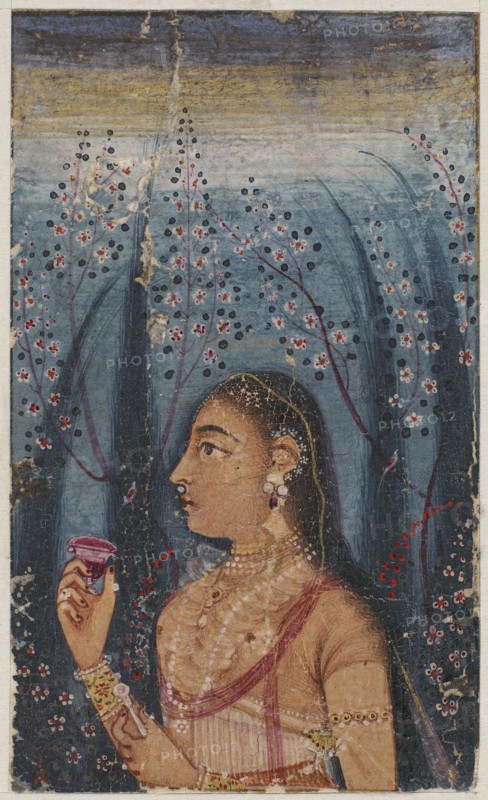 Head of a young woman, among flowering stems, c. 1620.