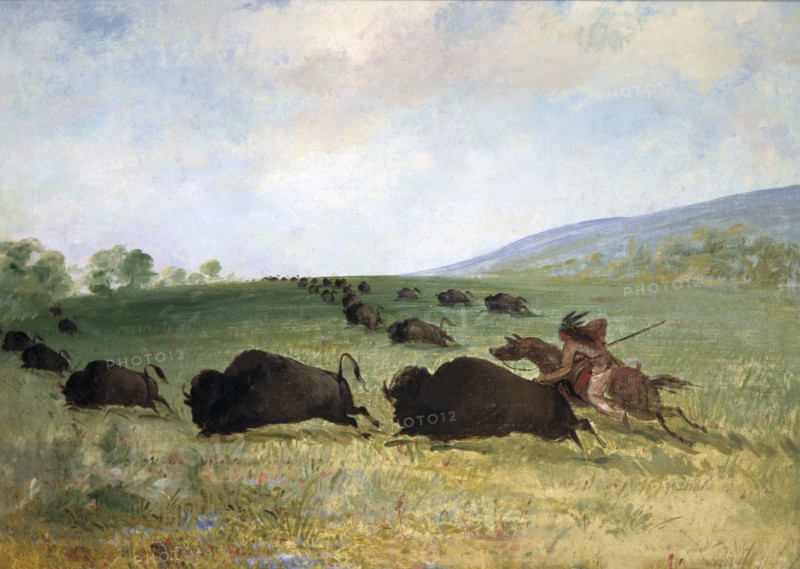 An Osage Indian Lancing a Buffalo, 1846-1848.