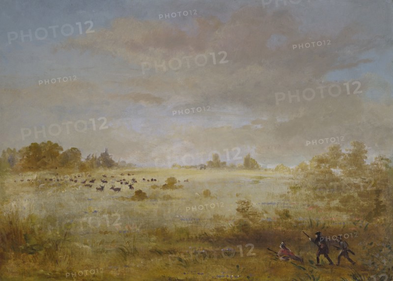 Elk Grazing on an Autumn Prairie, 1846-1848.