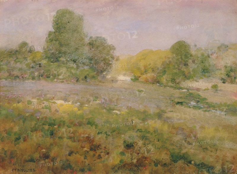 Field of Varicolored Grasses in Late Summer (In the Virginia Hills), n.d.