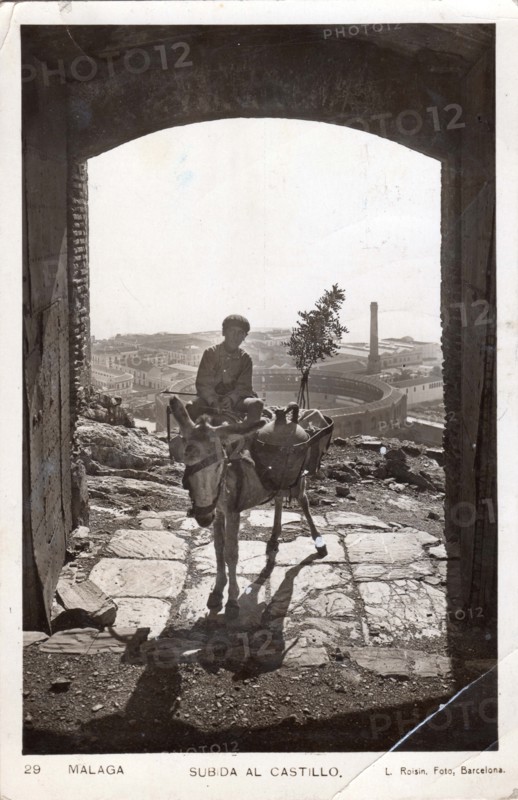 Boy with donkey, Malaga Castle, 1932. Child with water jars in Andalucia, Spain.