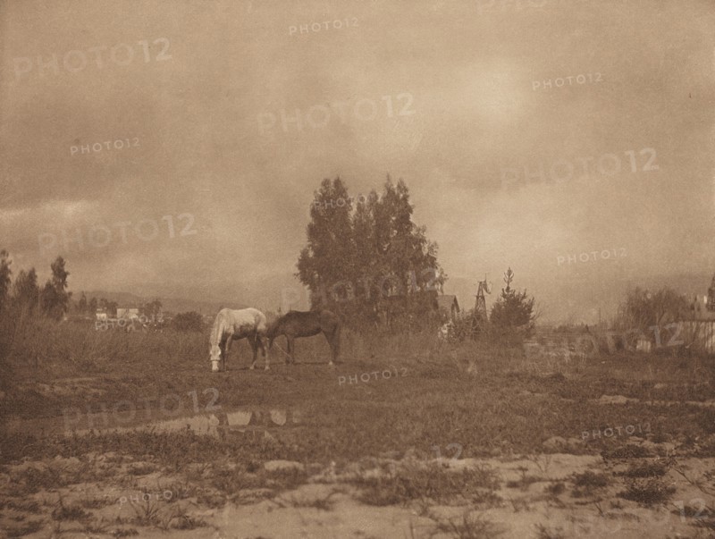 Pasadena Landscape, 1899.