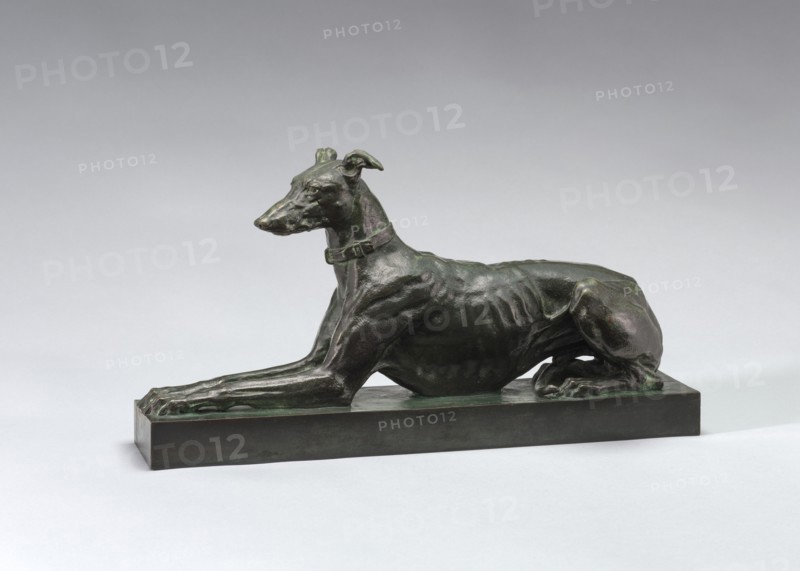 Tom, Algerian Greyhound, model 1868, cast by 1874.