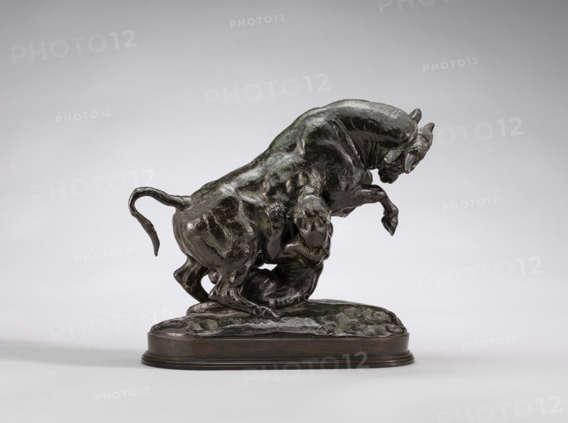 Rearing Bull with Tiger, model 1841/1844, cast by 1873.