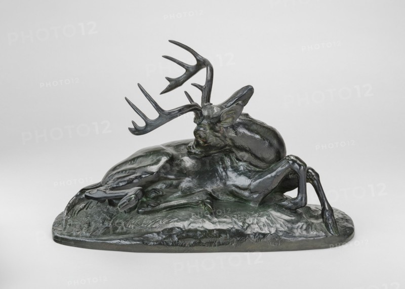 Virginia Deer Reclining, model 1837, cast by 1873.
