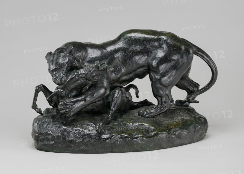 Tiger Attacking an Antelope, model n.d., cast c. 1862/1873.