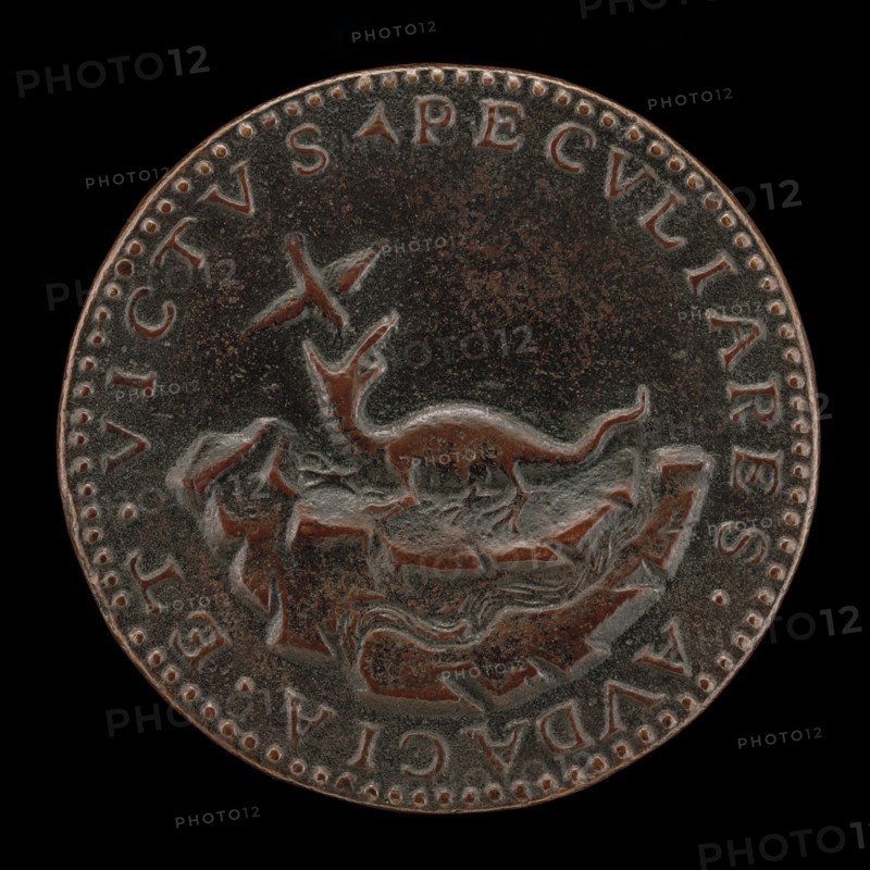 Crocodile and Trochilus [reverse].