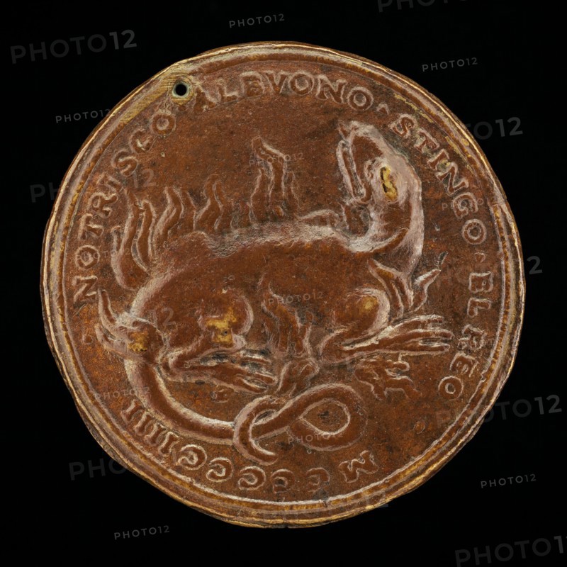 Salamander in Flames [reverse], 1504.