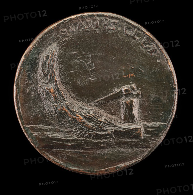 Felled Cypress Tree [reverse], 17th century.