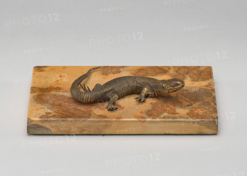 Life Cast of a Lizard, probably 19th century.