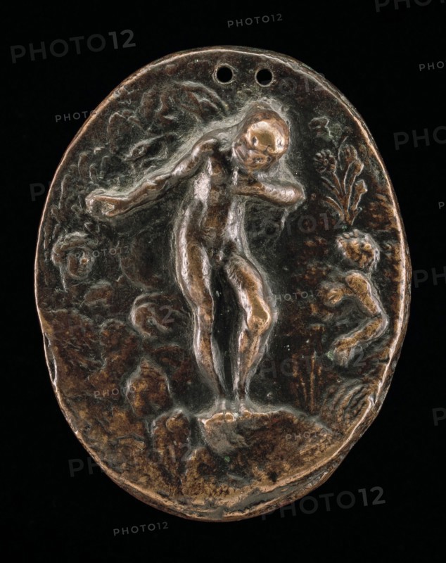 Narcissus, 16th century.