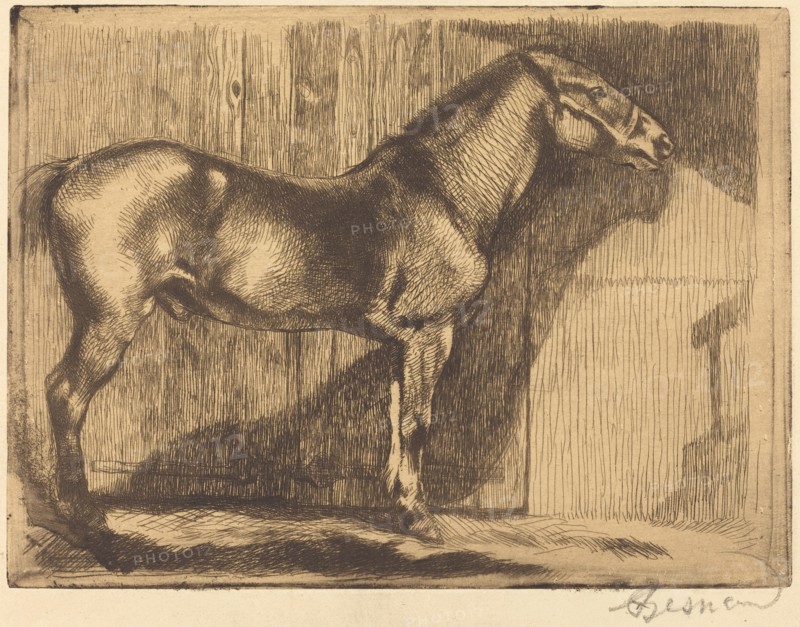 Pony (Le poney), 1892.
