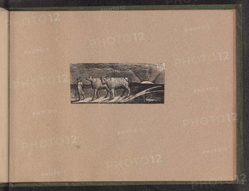 Return of the Shepherd, 1821.