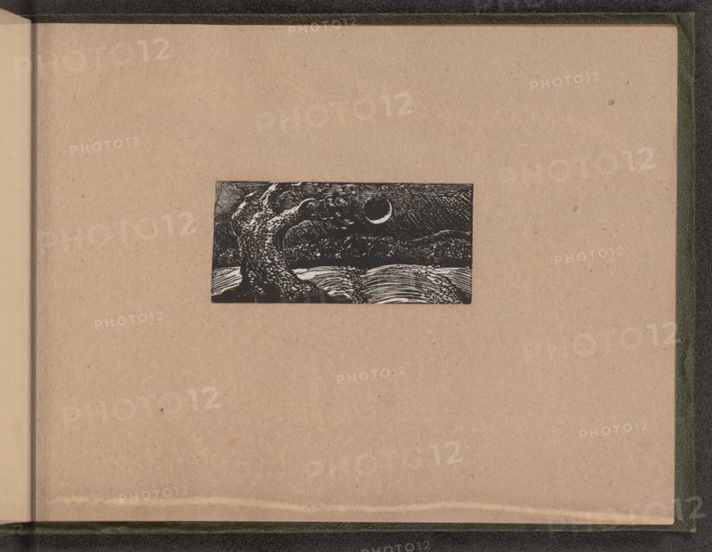 Blasted Tree and Flattened Crops, 1821.