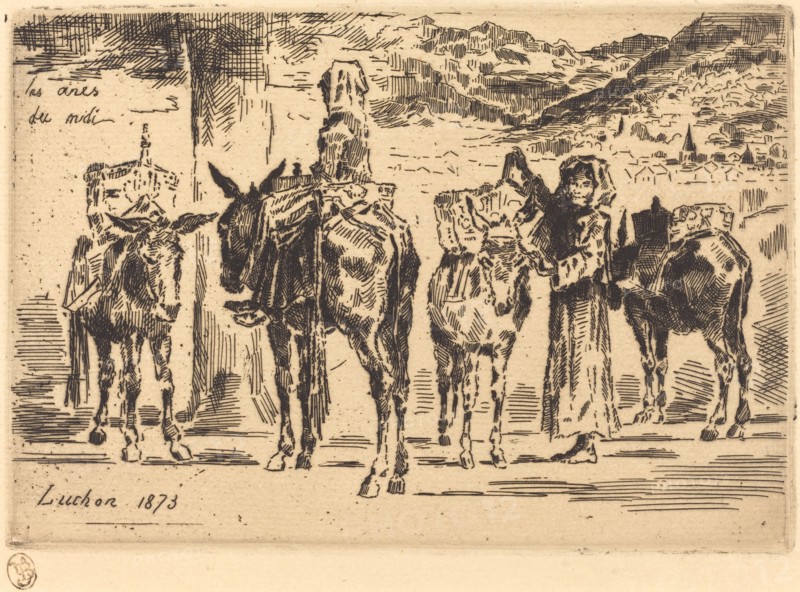 Feuilles d'Anes du Midi (Sheet of Donkeys from the South), 1873.