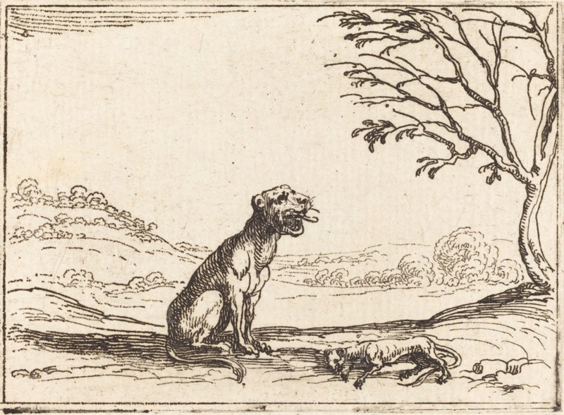 Lioness Mourning her Cub.