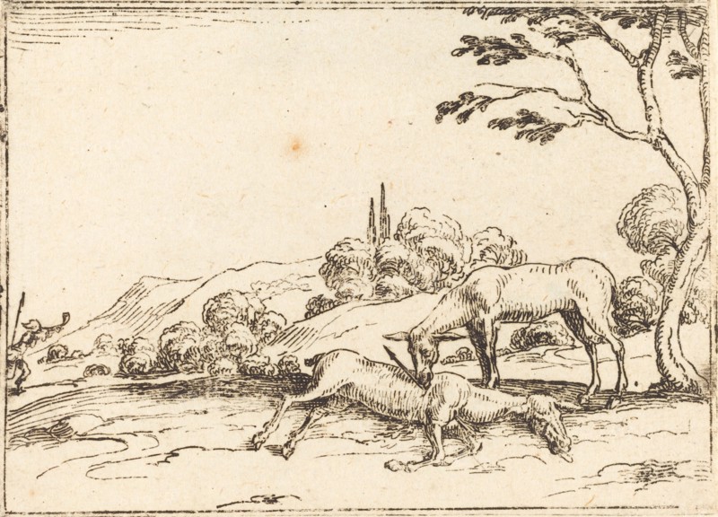 Doe Mourning her Foal.