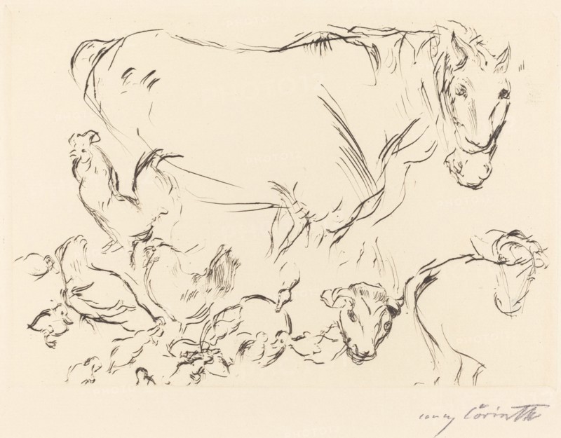 Verschiedene Tierstudien (Animal Studies), 1917.